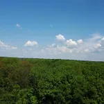Daire Foresthouse 2 Temeşvar