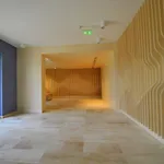 Foresthouse 2 Daire Temeşvar