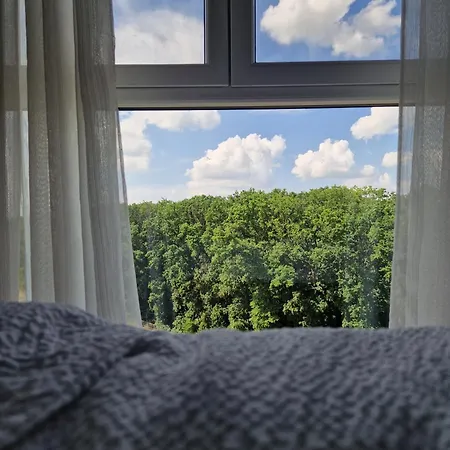 Foresthouse 2 Apartment Timisoara