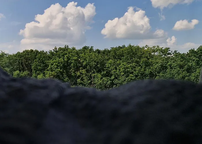 アパート Foresthouse 2 *