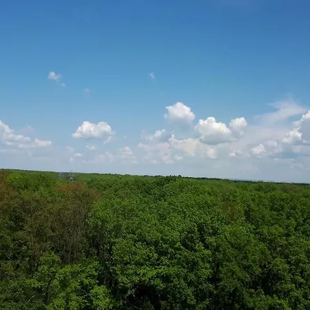 公寓 Foresthouse 2 蒂米什瓦拉