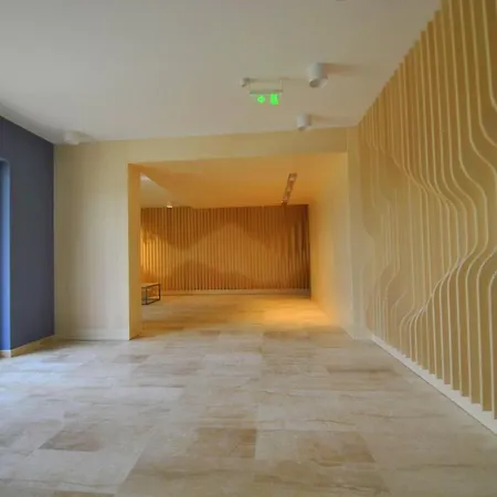 Foresthouse 2 公寓 蒂米什瓦拉