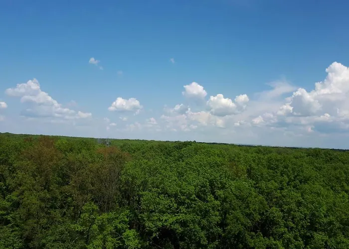 Appartement Foresthouse 2 Timişoara