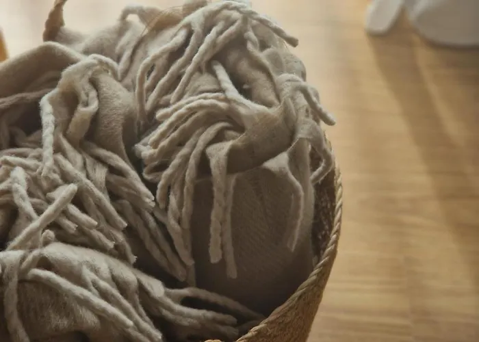 Foresthouse 2 Appartement