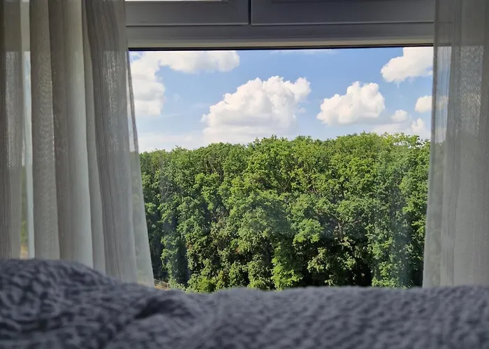 Foresthouse 2 Appartement Timişoara